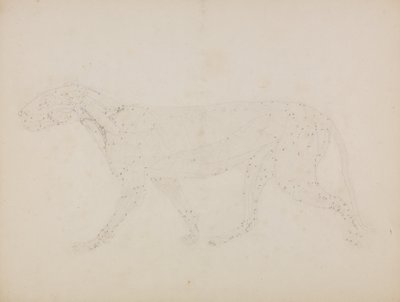 A Comparative Anatomical Exposition of the Structure of the Human Body with that of a Tiger and a Cow by George Stubbs